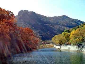 新澳天天开奖资料大全旅游团，爆菊